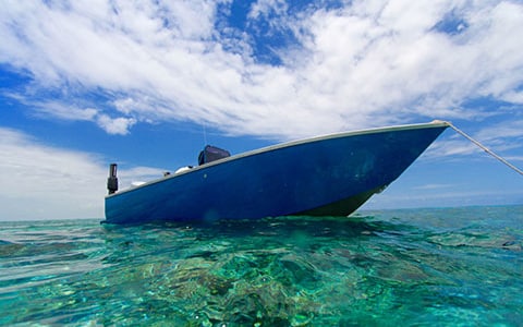 OCEAN BLUE CUSTOM 6M