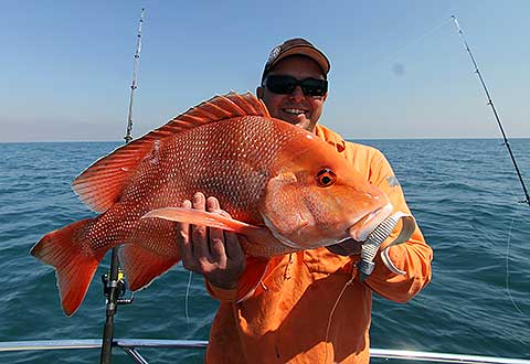 WHEN’S THE BEST TIME TO COME